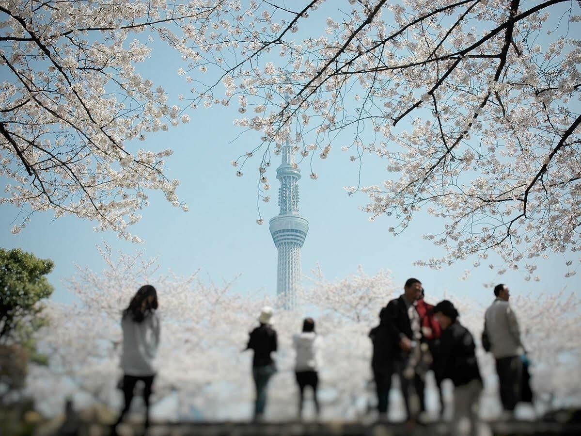 ホテル京阪浅草 東京都 エクステリア 写真